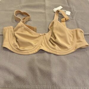 Elomi Molded Full Cup Bra Size 36DD New with tags